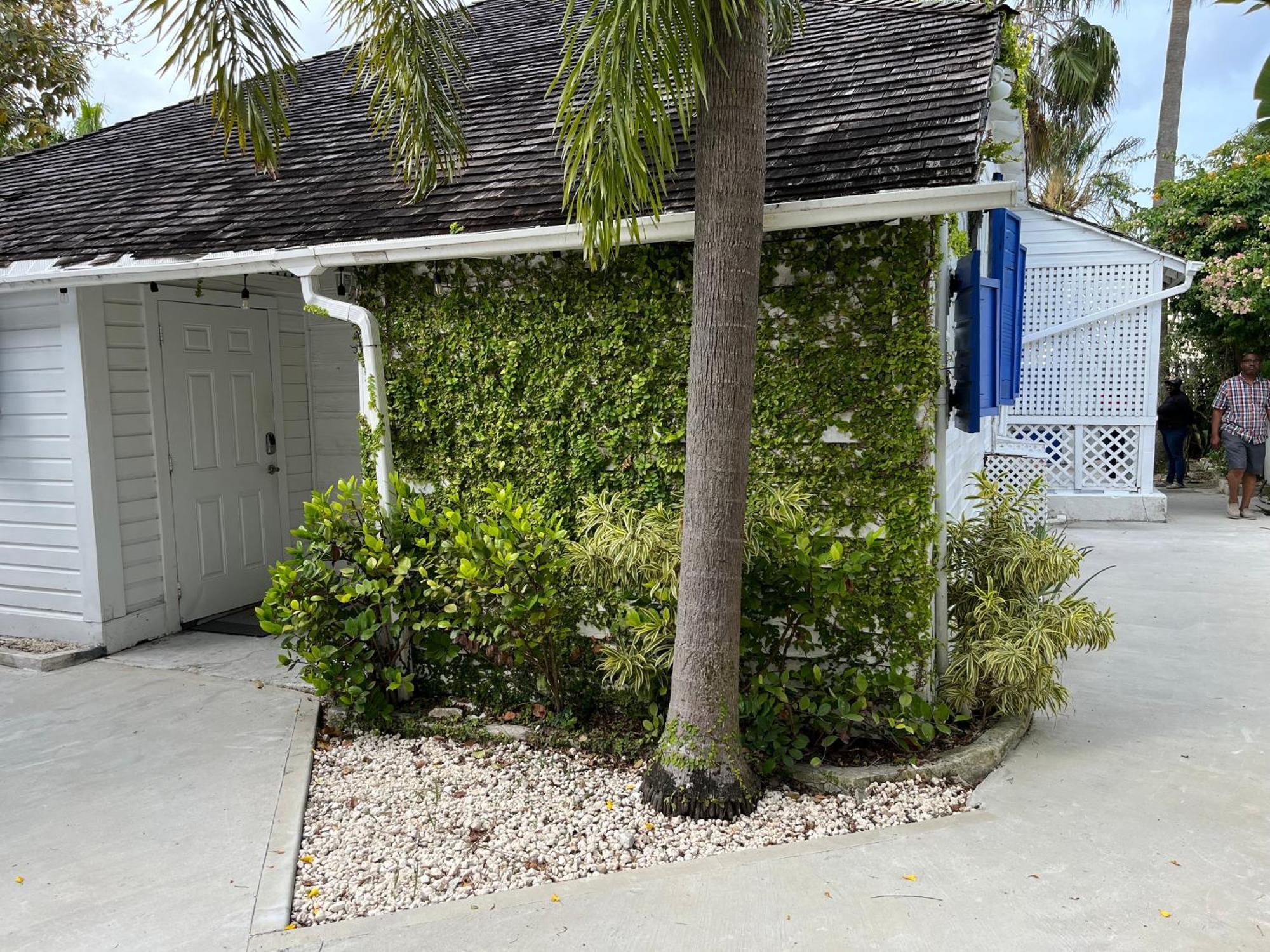 Downtown Oasis Unit 3